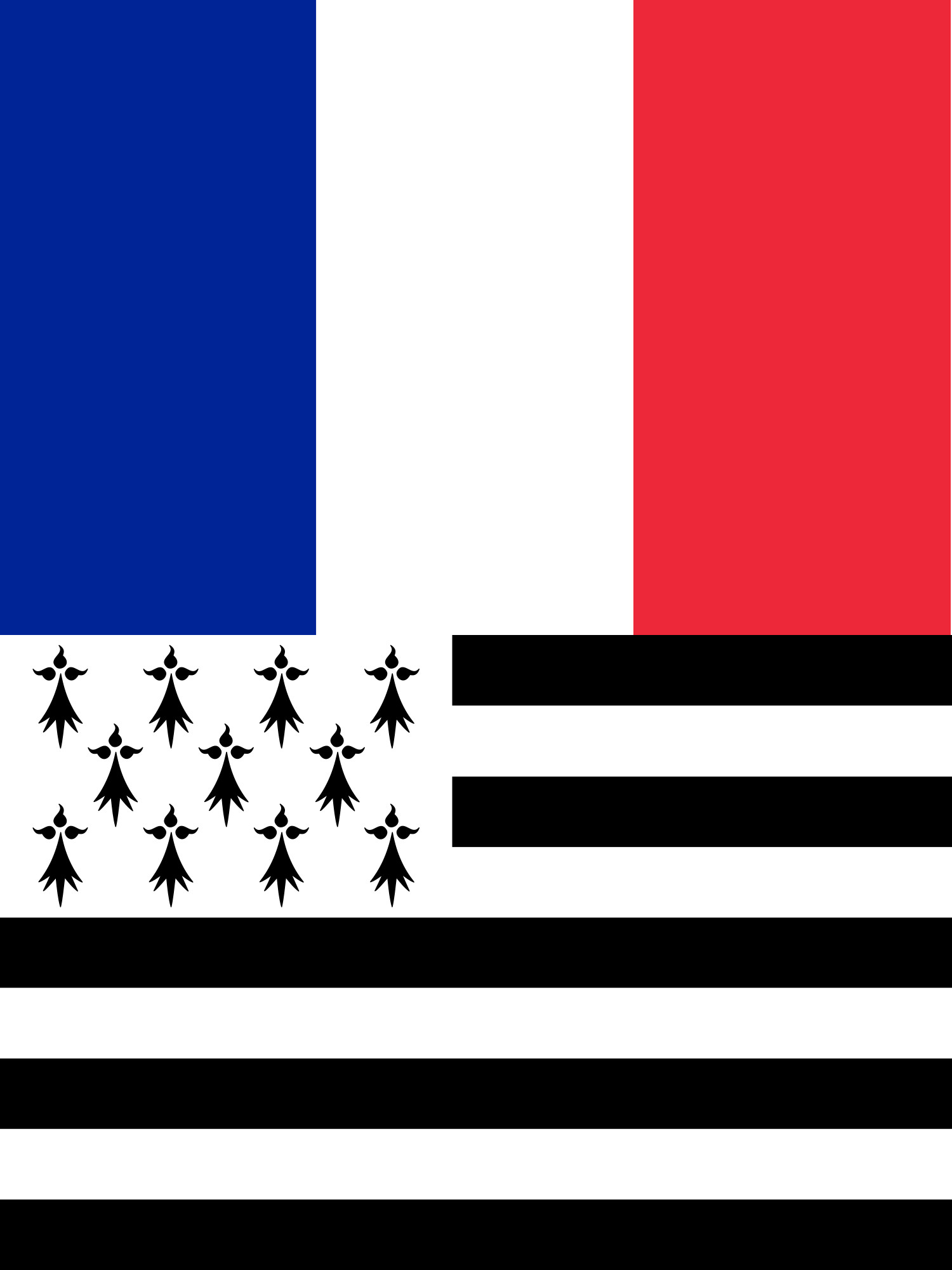 Fabriqué en Bretagne donc en France.